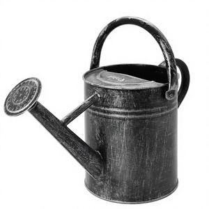 Modern Design Silver Antique Finished Indoor & Outdoor Metal Water Can for <b>Gardening</b> & Plants - Product Image 1