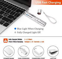 Jouet de Pointeur Laser Interactif Rechargeable par USB pour Chats Chiens 5 Modèles Réglables Longue Portée 3 Modes Training Chaser Made Metal