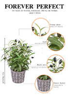 Composition de table en olives artificielles en gros avec panier en rotin et mini-plante en pot pour décoration intérieure