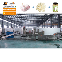 XINLONGJIA Machine de ligne de traitement de poudre de gingembre d'ail sec Plantes de production de poudre d'oignon Machine de fabrication de pâte de gingembre et d'ail
