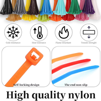 Bridas de nailon personalizadas de 4.8x300mm, autoblocantes, resistentes a los rayos UV, para gestión de cables en interiores y exteriores.