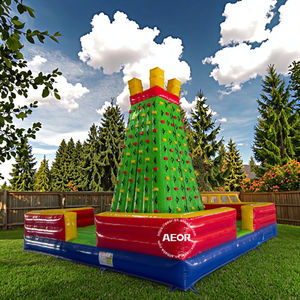 Mur d'escalade gonflable pour enfants, jeu sportif, mur d'escalade gonflable pour enfants, saut - Product Image 2