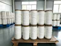 Yong Lin Seil T-60 Farbiges Hochfestes Outdoor-Fallschirmseil aus Geflochtenem Polyester 3mm 100m für Verpackung, Gepäck und Taschenverschluss