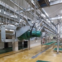 Machine d'abattage de chèvres industrielle ISO, équipement d'abattoir pour l'abattage halal des chèvres, ligne complète d'équipement d'abattage de chèvres