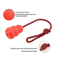 Jouet à mâcher pour animaux de compagnie en caoutchouc naturel avec corde en forme de gourde pour chiens de taille moyenne/grande, pour l'entraînement à la mastication, durable et élastique