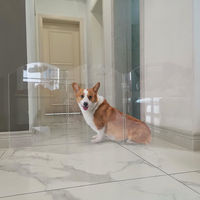Barrière pour animaux de compagnie (chiens et chats) moderne, luxueuse, en acrylique transparent, moulée, écologique, pliable et autoportante