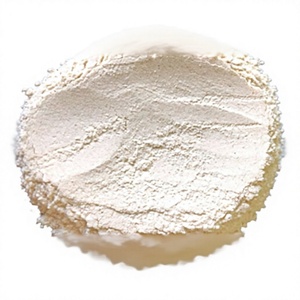 Harina de Fruta del Pan Natural, Polvo de Ulu Seco, Harina Fina Blanca de Fruta del Pan, Aroma a Pan Horneado, Sin Gluten, Para Panqueques, Venta al por Mayor - Product Image 1