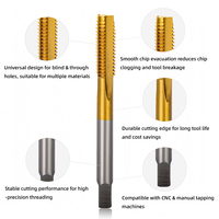 Outils de filetage à haute efficacité M2 HSS DIN371 DIN376, taraud à rainure droite pour acier inoxydable/acier au carbone