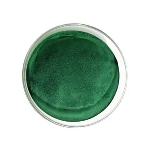 Natürliches Chlorophyll pulver Pigment pulver in Lebensmittel qualität