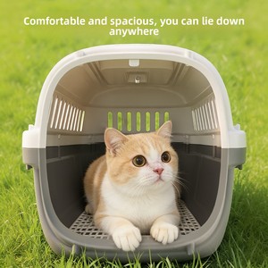Promotion : Caisse de transport rigide portable en polypropylène léger, motif dessin animé, pour chiens et chats, idéale pour les voyages en avion - <span class=keywords><strong>Vente</strong></span> en gros - Product Image 2