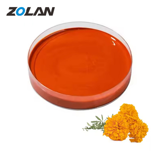 GMP Plant Extraction Pure Natural <strong>Marigold</strong> <strong>Flower</strong> <strong>Extract</strong> 5% Lutein Oil for Eye Drops Plant <strong>Extract</strong> - Product Image 1