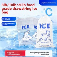 Sacs à glace jetables transparents en PE de qualité alimentaire avec cordon de serrage, tailles personnalisables, impression sérigraphique, vente en gros pour fabricants