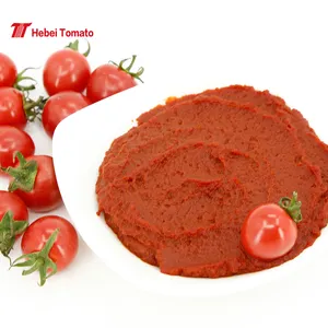 Pemasok Tiongkok harga rendah pasta tomat kaleng Kosher 210g