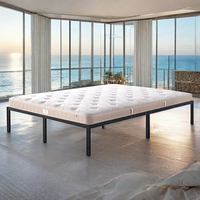 Cadre de lit plateforme en acier moderne de haute qualité pour appartements et chambres de style farmhouse, taille et couleur personnalisables, montage facile, capacité 300 kg+