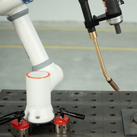 Robot de soudage collaboratif DONSIN direct usine pour soudage au CO2/gaz mixte, sans codage, facile à utiliser, protection IP54/IP66