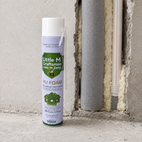 Colle mousse PU A41 500ml à prise rapide et haute expansion pour l'isolation thermique, idéale pour l'installation de portes et fenêtres en aluminium