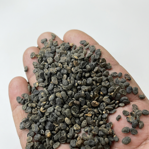 Semillas de Psoralea Corylifolia, Extracto de Semillas de Babchi Natural en Polvo de la India, Precio de Mercado al por Mayor - Product Image 2
