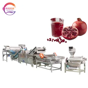 Linha De Produção De Extrato De Suco De Romãs Frescas Juicer Juice Making Machine