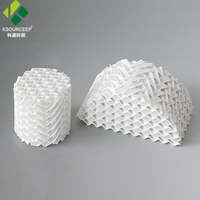 Conjunto de Empaque Cerámico Estructurado, Empaque de Torre Cerámica Corrugada para Columnas de Absorción y Destilación de Medios Corrosivos