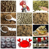 Nouvelle Machine d'Extrusion de Granulés Flottants pour Aliments pour Poissons et Animaux de Compagnie 220V