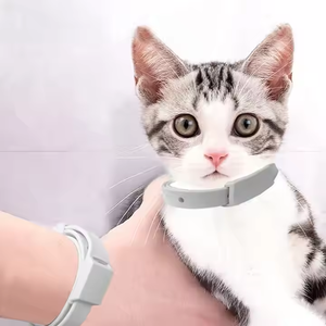 Collare regolabile Anti-Tick gatto con forte modello animale e decorazione di piume <span class=keywords><strong>per</strong></span> la formazione - Product Image 2