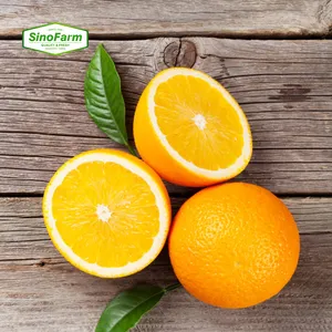 Sweet Tasty Orange Delicious Premium Quality Juicy Tangerine 100% Natural Fresh Orange From Chinese Farms
