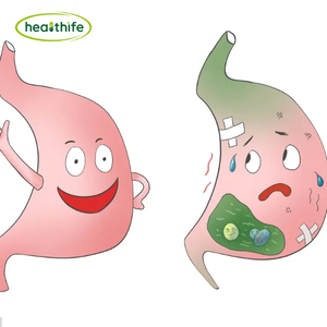 Healthife cung cấp tự nhiên <span class=keywords><strong>vitexin</strong></span> Bột táo gai Berry chiết xuất 2% <span class=keywords><strong>vitexin</strong></span> bột - Product Image 3