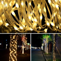 Cordon lumineux en cuir Flexible avec éclairage RGB, 10 M, 15M, 50M, 100M, 8 Modes, décoration de fête, jardin, noël