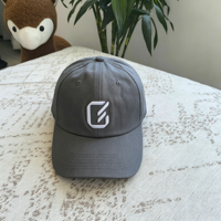 Gorra de Béisbol con Logotipo Personalizado, Bordado 3D, al por Mayor, 100% Algodón Twill, Estilo Dad Hat, sin Estructura, Ajustable, Visera Curva, Gorras Vintage
