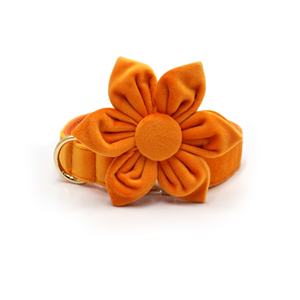 Conjunto de dos piezas de moda, flor de perro ajustable a la moda, bonitos collares y correas de perro personalizados de terciopelo naranja, correas para mascotas - Product Image 3