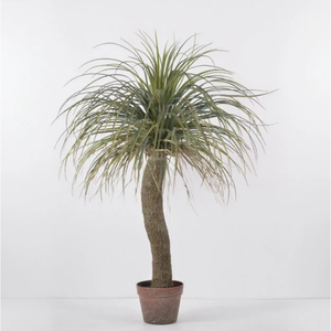 Venta al por mayor Artificial Dracaena Marginata Tree UV Protected Uso al aire libre Alturas personalizadas 1,5-4M OEM aceptado - Product Image 1