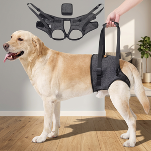 Arnés de Soporte Ajustable para Mascotas, Correa de Poliéster Transpirable para Levantar las Patas Traseras del Perro, para Ayudar a Caminar Diariamente - Product Image 1