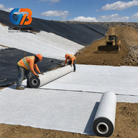 Bâche géosynthétique en bentonite aiguilletée, résistante aux UV, durable pour la couverture finale des décharges et l'utilisation comme couvercle.