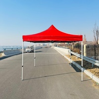 Vente directe d'usine, tentes de camping, tentes de salon professionnel en plein air, 3x4,5m, 3x3m, tente à auvent, tente de camping personnalisée