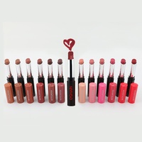 Ochain Hot Custom con Logo Nude Larga Duración Impermeable Rojo Oscuro Mate Pintalabios