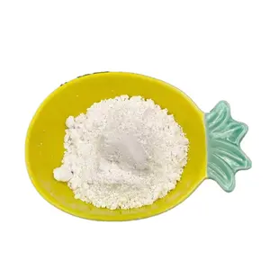 white diatomaceous earth for paint and coating