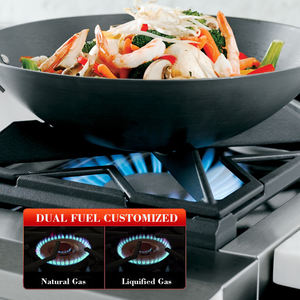 مجموعة غاز المطبخ الاحترافية من Gexiang مع فرن للاستخدام المنزلي موقد فرن الشركة المصنعة الأصلية - Product Image 6