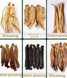 Organik <span class=keywords><strong>Ginseng</strong></span> kurutulmuş <span class=keywords><strong>Ginseng</strong></span> kökü bütün çin ot Panax çay toptan adam sağlık kırmızı <span class=keywords><strong>Ginseng</strong></span> kökenli - Product Image 5