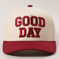Gorra de Béisbol Clásica de Dos Tonos con Visera Curva, Logotipo Bordado Personalizado para Ropa Deportiva, Venta al Por Mayor