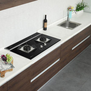 Conjunto de estufa de Gas con cubierta lateral integrada, sistema de elevación Stealth, protección ambiental, chimenea eléctrica SS - Product Image 5