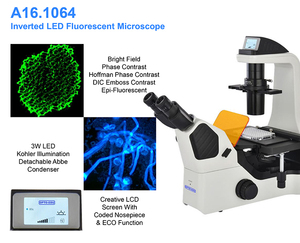Microscópio Invertido <span class=keywords><strong>Binocular</strong></span> LED Fluorescente OPTO-EDU A16.1064 - Product Image 3