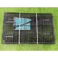 Poulailler pliable robuste personnalisé