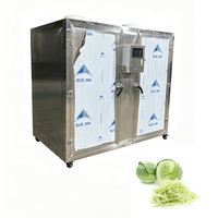 Automatische groente-, ui-, knoflook-, zoete gember-oven droger, rotatiedroogapparatuur, SUS304 materiaal, industrieel voedsel.