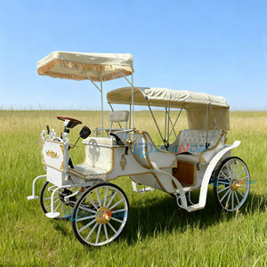 Chariot électrique de tourisme haut de gamme, style européen, pour visites panoramiques et transferts hôteliers – Vente flash - Product Image 5