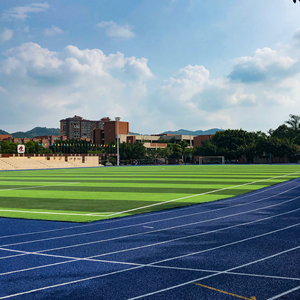 Wa/iaaf đầy đủ PU chạy bài hát EPDM bề mặt tổng hợp spraycoat cao su chạy bài hát bánh sandwich hệ thống cho sân vận động đua - Product Image 3