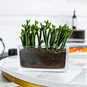 Nuovo vaso di vetro rettangolare decorazione trasparente desktop vaso idroponico contenitore soggiorno tavolo da pranzo decorazione bottiglia - Product Image 3