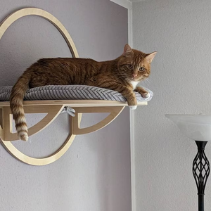 Muebles de pared para gatos que ahorran espacio, estante y cama de escalada con burbujas para gatos de interior - Product Image 3