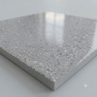 Carrelage de sol en porcelaine antique mate 750x1500mm pleine masse, moderne, épaisseur 10mm, résistant aux acides, antidérapant, durable, texture ciment