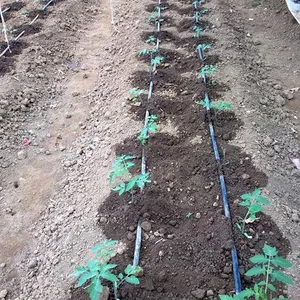 Irrigazione agricola modello da 1 ettaro sistema di nastro per irrigazione a goccia vegetale nastro antigoccia per fattoria