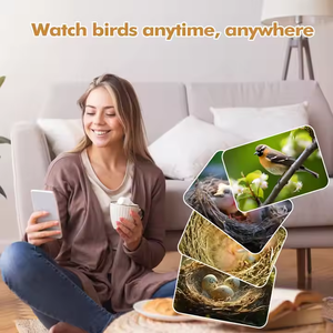 Incubateur d'oiseau en bois Transparent maison moniteur à énergie solaire horloge nidification des oiseaux éclosion/maison d'oiseau intelligente en temps réel avec caméra - Product Image 4